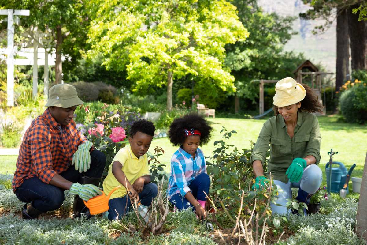 Edible Landscaping: How You Can Create a Practical and Gorgeous Yard